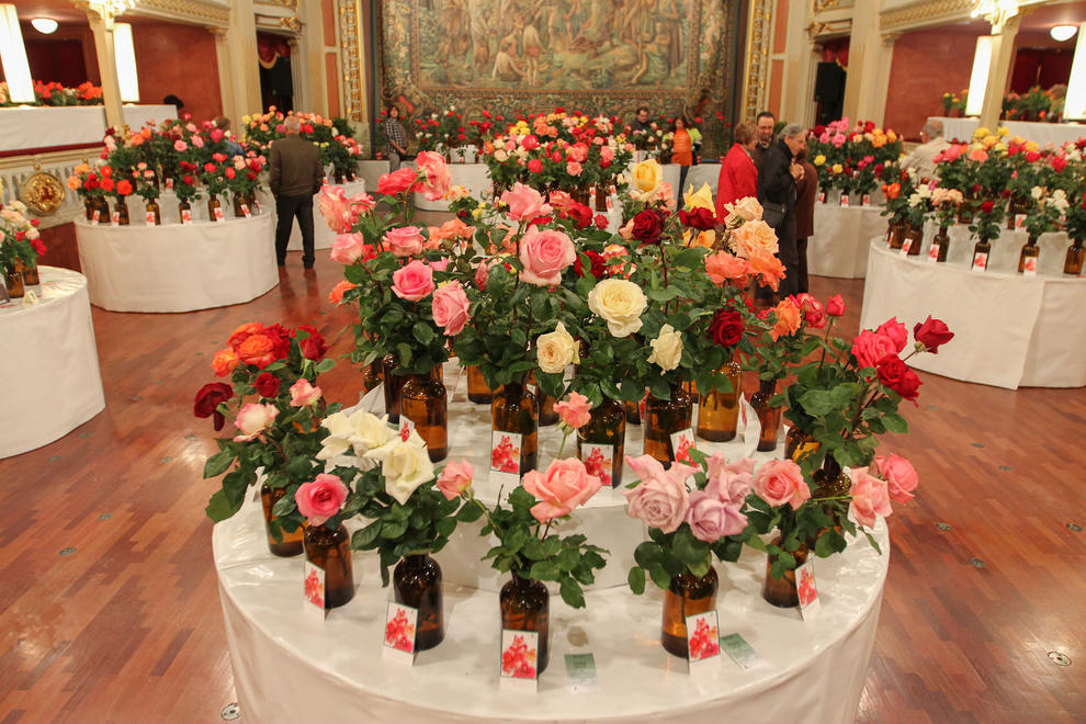 70è Concurs Exposició Nacional de Roses